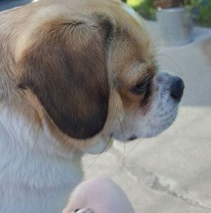 Meet your Posher, Janet